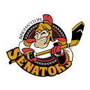 Binghamton Senators