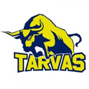 Tarvas