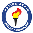 Nesibe Aydinspor (D)