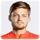 David Goffin