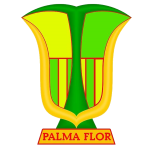 Atletico Palmaflor