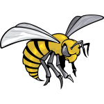 Alabama Hornets